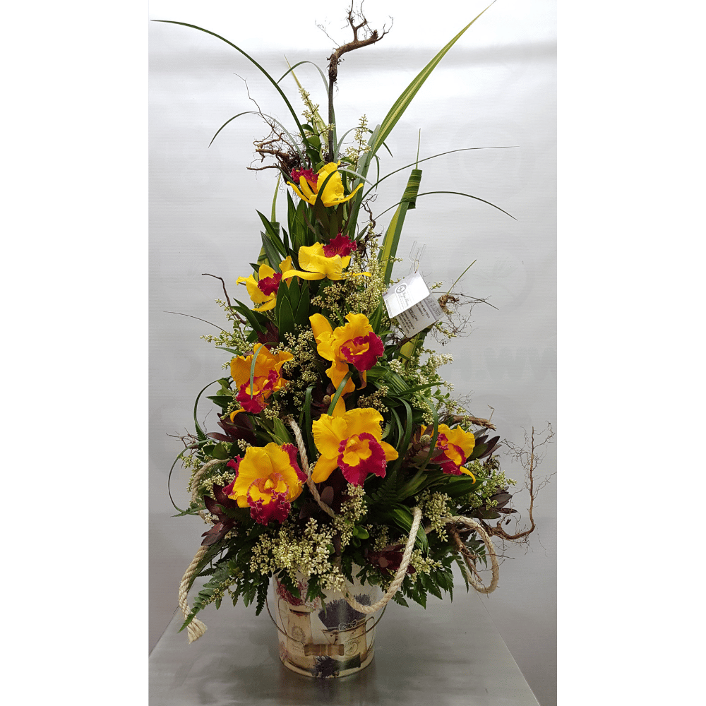 Inicio Floristería Hojas Blancas